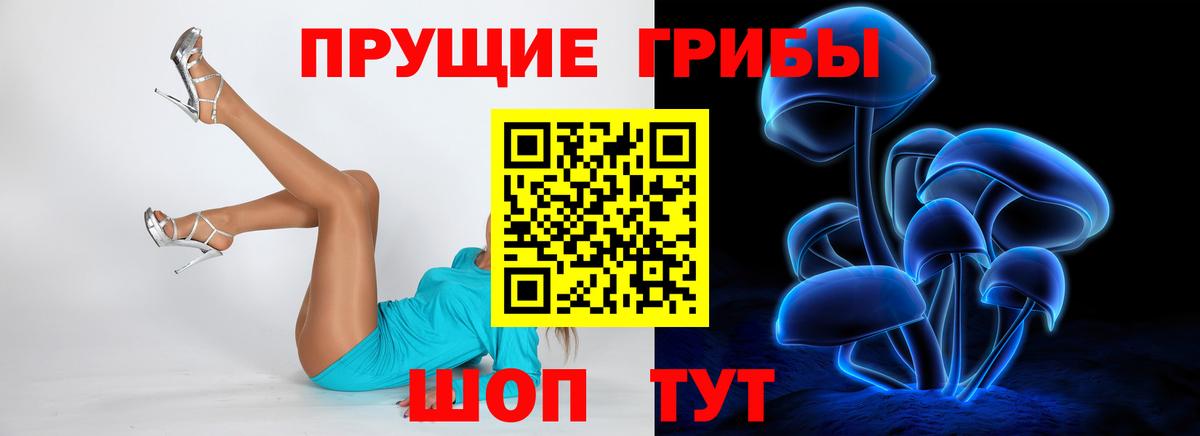 Псилоцибиновые грибы мицелий Выборг
